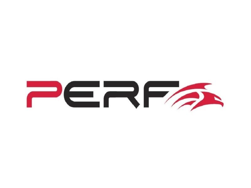 LOGO PERF 1