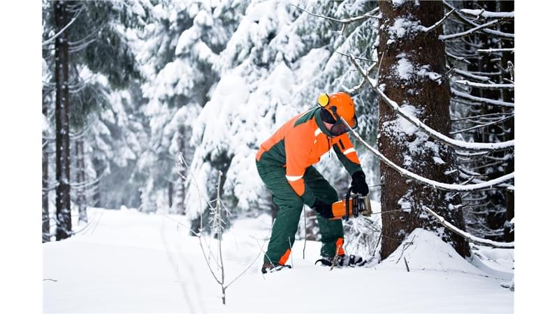 abbigliamento invernale da lavoro