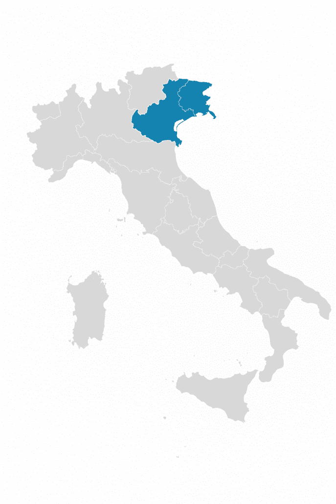 nord est italia triveneto mappa copertura agenti